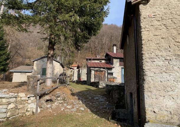 Caprette e montagna, vita da eremita