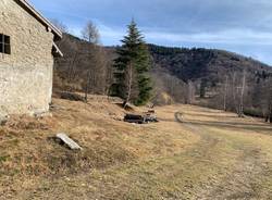 Caprette e montagna, vita da eremita