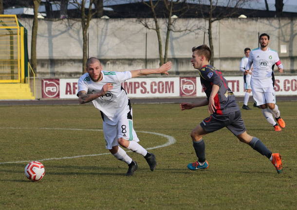 castellanzese calcio