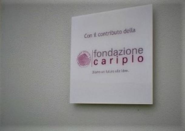 fondazione cariplo generica