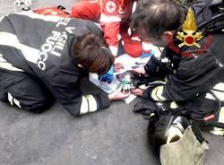 Gatto rianimato dai pompieri