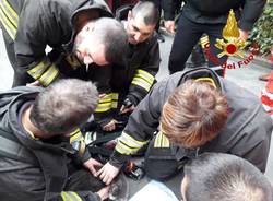 Gatto rianimato dai pompieri