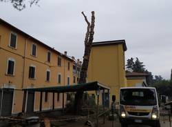 piante piazza trento trieste legnano