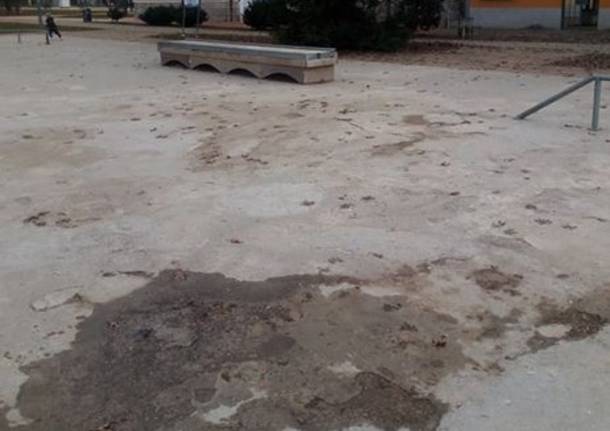 pista skater museo del tessile 2020