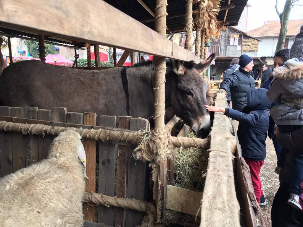 Sant’Antonio, la benedizione degli animali
