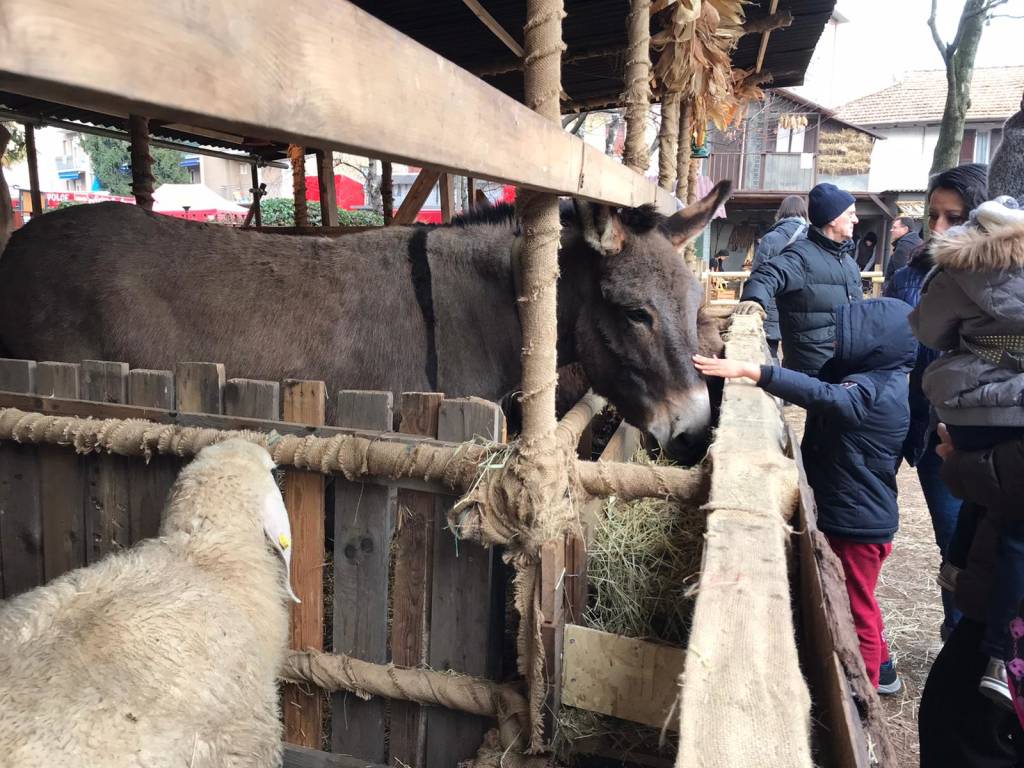 Sant’Antonio, la benedizione degli animali