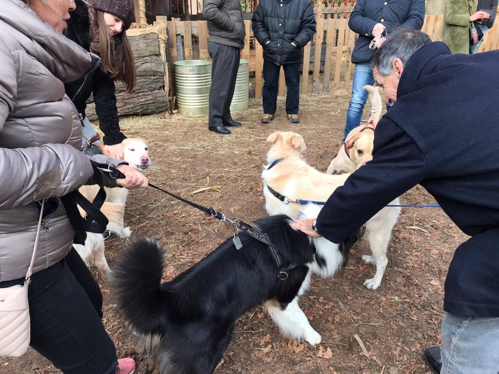 Sant’Antonio, la benedizione degli animali