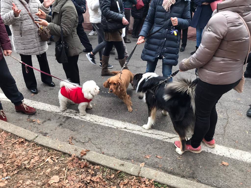 Sant’Antonio, la benedizione degli animali