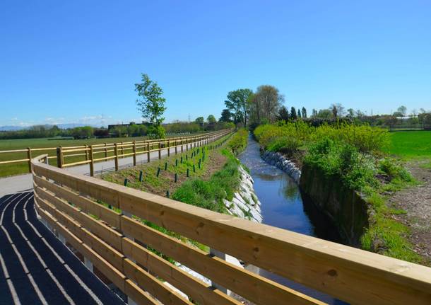 Saronno 2020