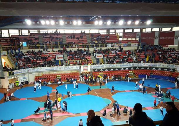 taekwondo insubria cup