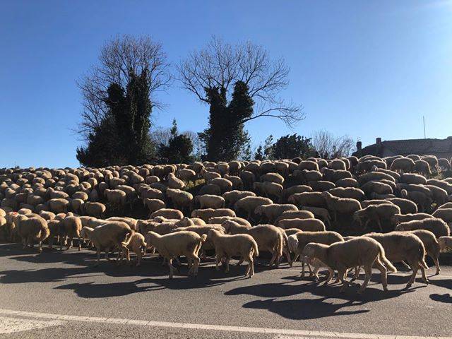 Traffico a Induno Olona