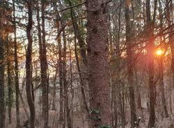 tramonto nel parco del campo dei fiori - foto di riccardo cappello