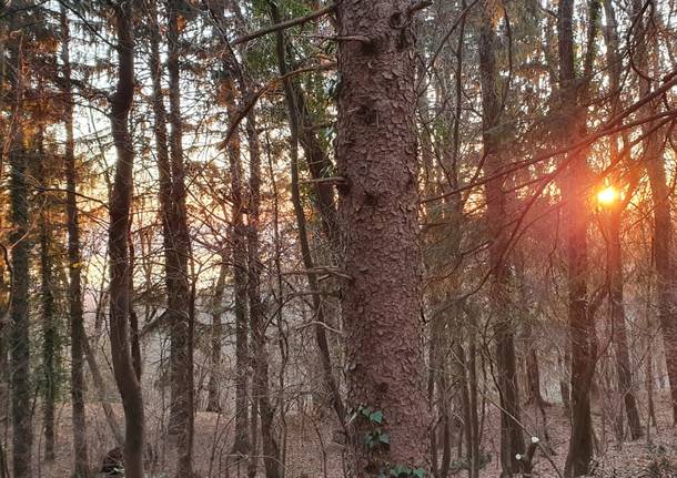 tramonto nel parco del campo dei fiori - foto di riccardo cappello