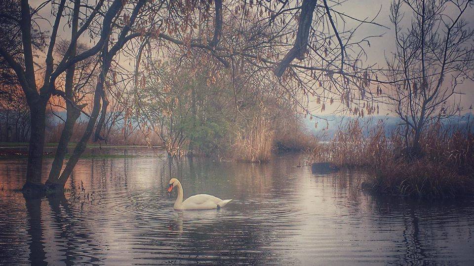 Un lago da fiaba