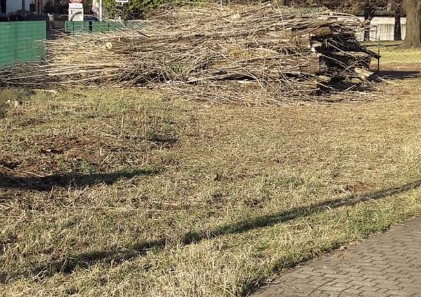 A Cislago si discute dell’abbattimento di 19 alberi