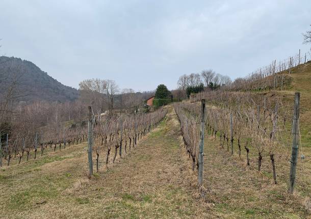 Anello di San Quirico ad Angera e Ranco