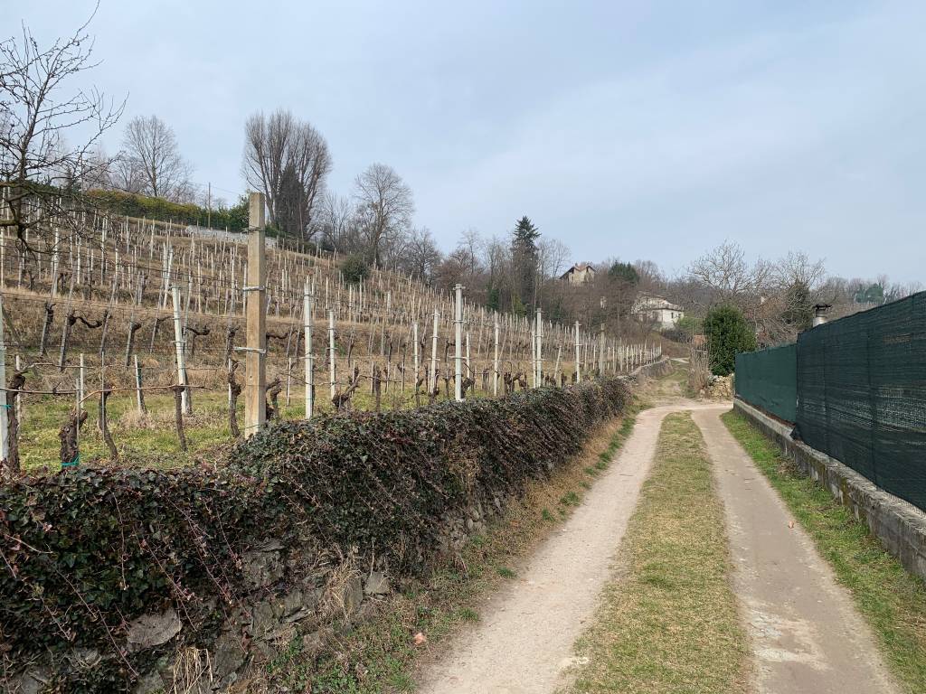 Anello di San Quirico ad Angera e Ranco
