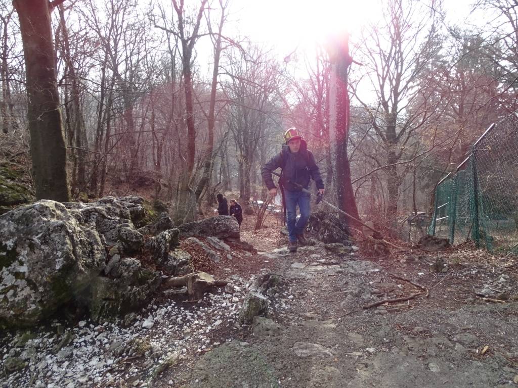 Boschi ripuliti in cima al Campo dei Fiori