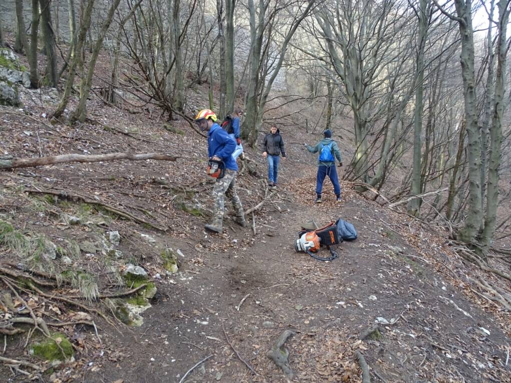 Boschi ripuliti in cima al Campo dei Fiori