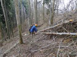 Boschi ripuliti in cima al Campo dei Fiori