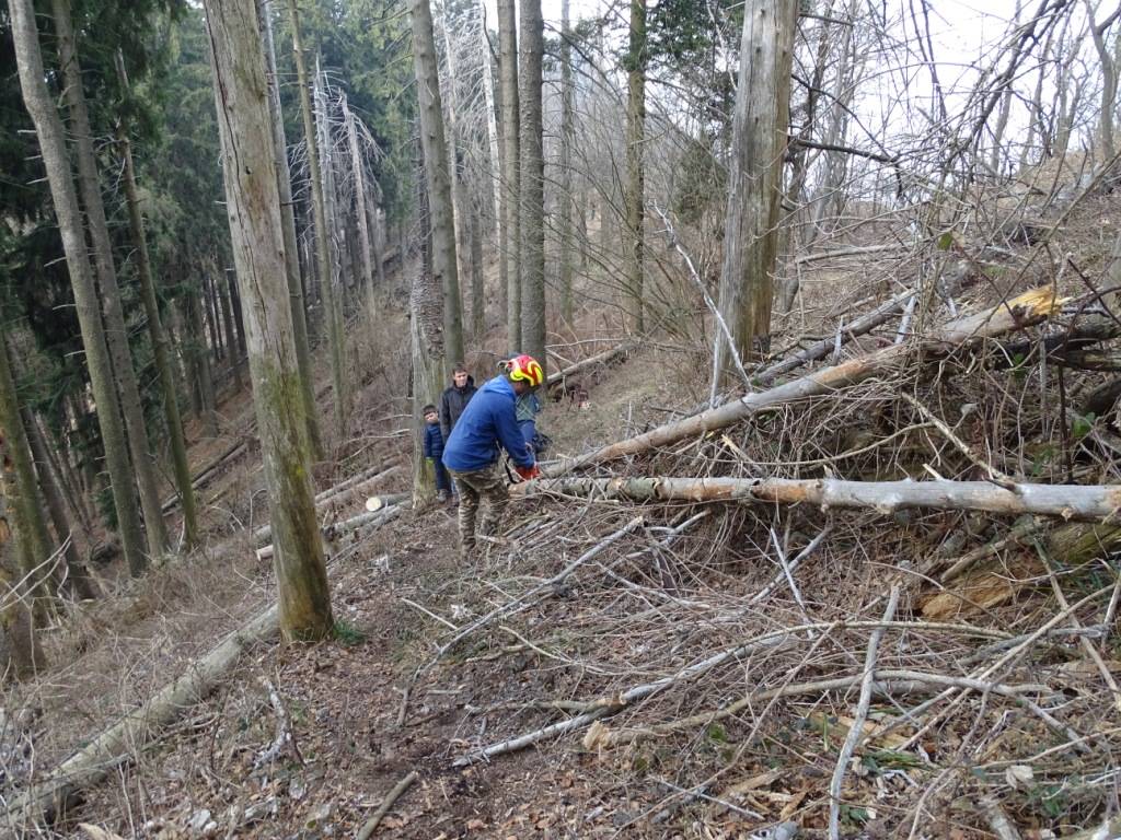 Boschi ripuliti in cima al Campo dei Fiori