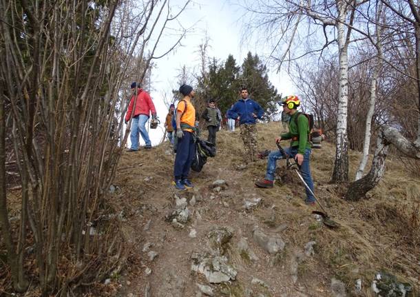 Boschi ripuliti in cima al Campo dei Fiori