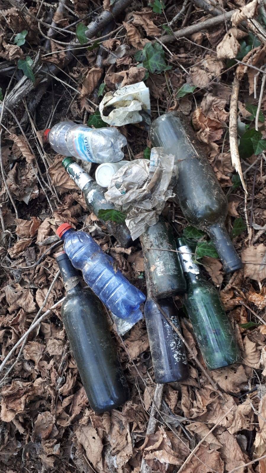 Lettera al Direttore