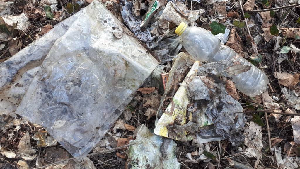 Lettera al Direttore