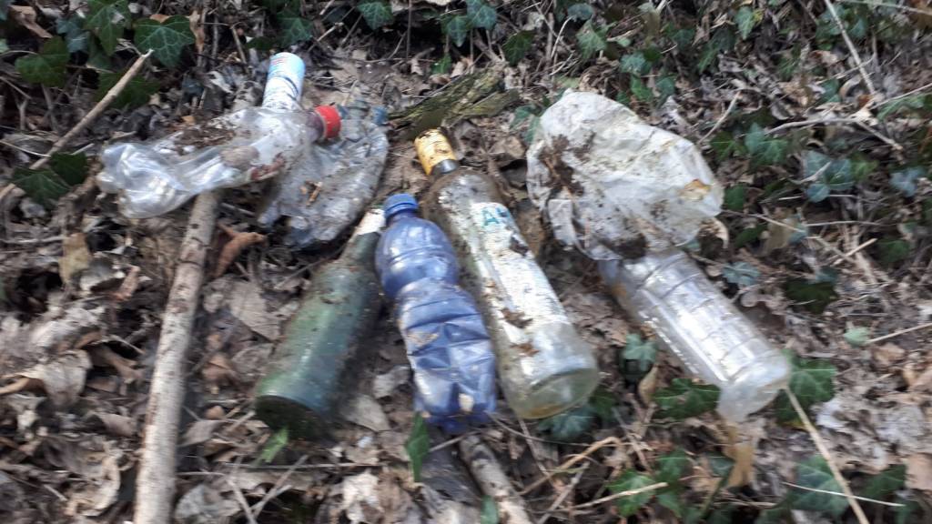 Lettera al Direttore