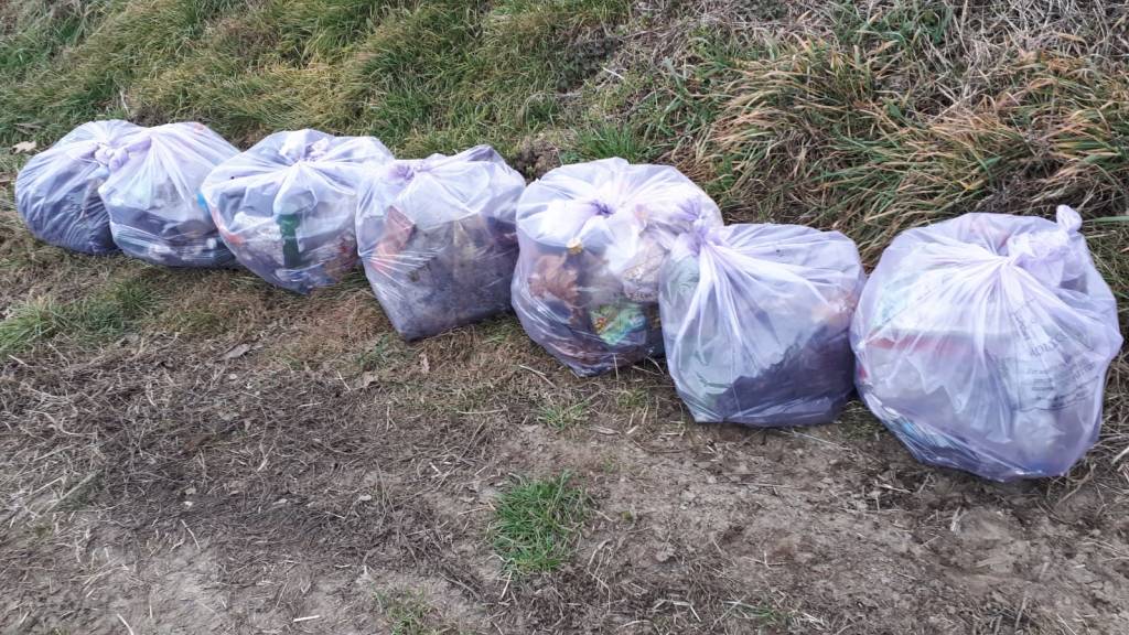 Lettera al Direttore