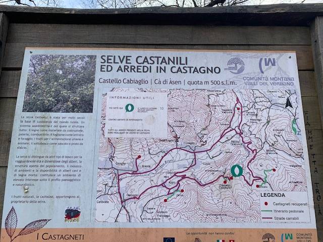 Le selve castanili, capitale naturale di Varese