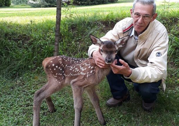 Caccia, il bilancio dell\'annata