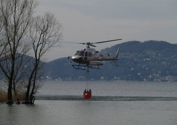 Incendi a Monvalle