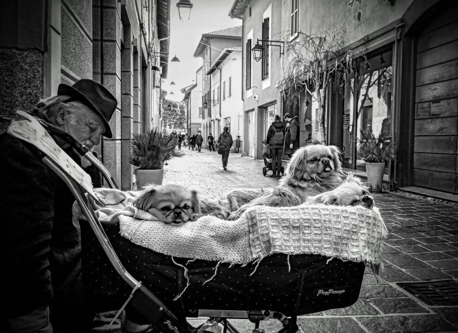 Centro di Saronno, personaggio in via San Cristoforo (foto di Emanuele Santagostino)