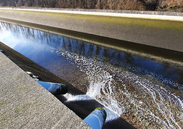 Schiume naviglio 2020