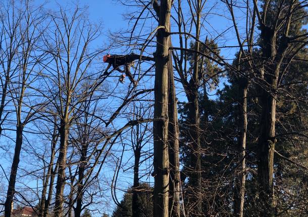 treeclimbing parco bassetti