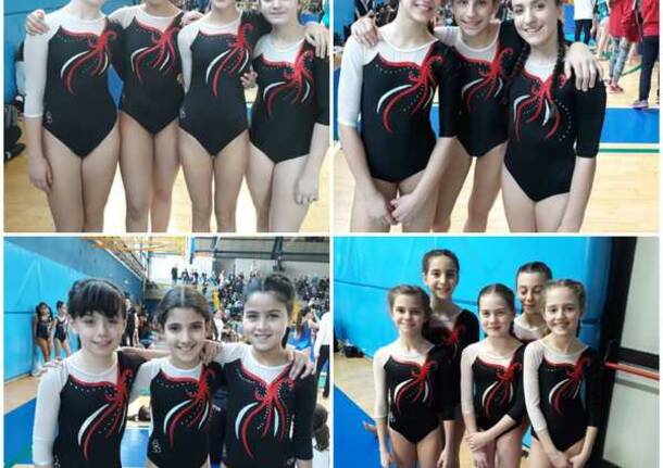 Ancora successi per l’Artistica OCM