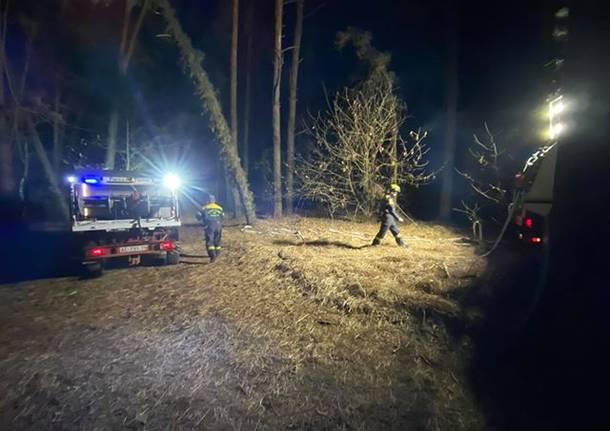 Incendio nei boschi di Somma Lombardo