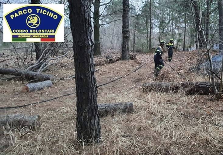 Incendio pineta Vigano 