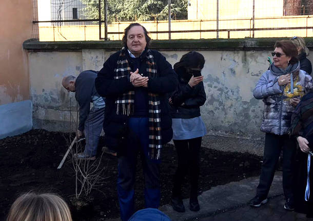 melograno fagioli busto
