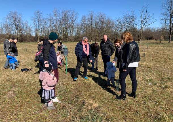 piantumazione alberi nati 2018 busto arsizio