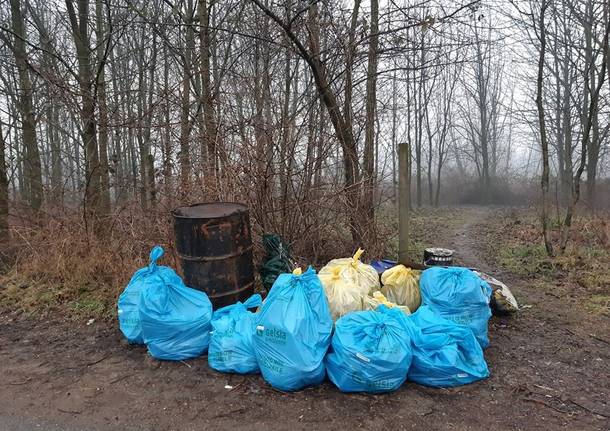 Pulizia Parco delle Groane Limbiate