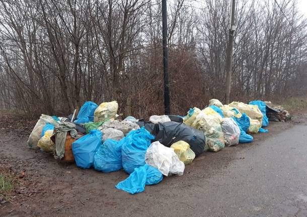 Pulizia Parco delle Groane Limbiate