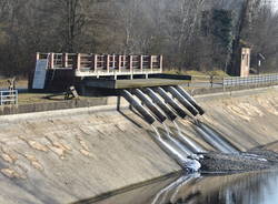 schiume naviglio 2020