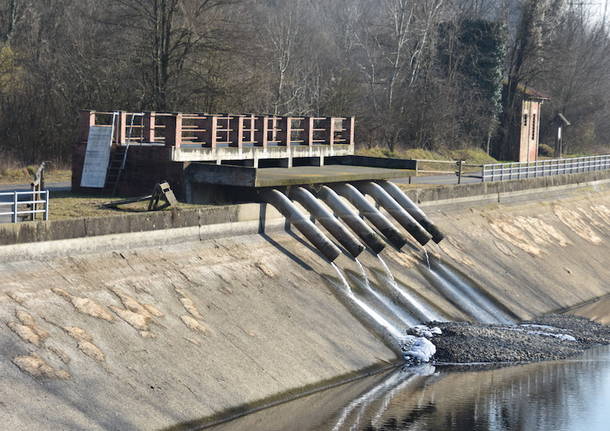 schiume naviglio 2020