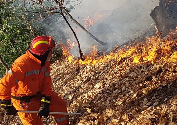 volontari antincendio boschivo brezzo di bedere