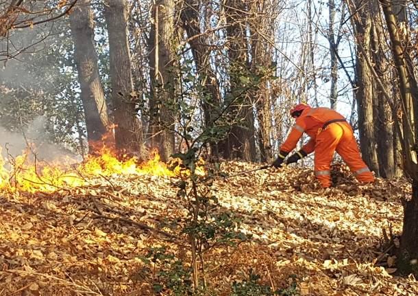 I volontari dell’antincendio alle prese con le fiamme in Valtravaglia