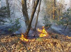 volontari antincendio boschivo brezzo di bedere
