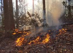 volontari antincendio boschivo brezzo di bedere