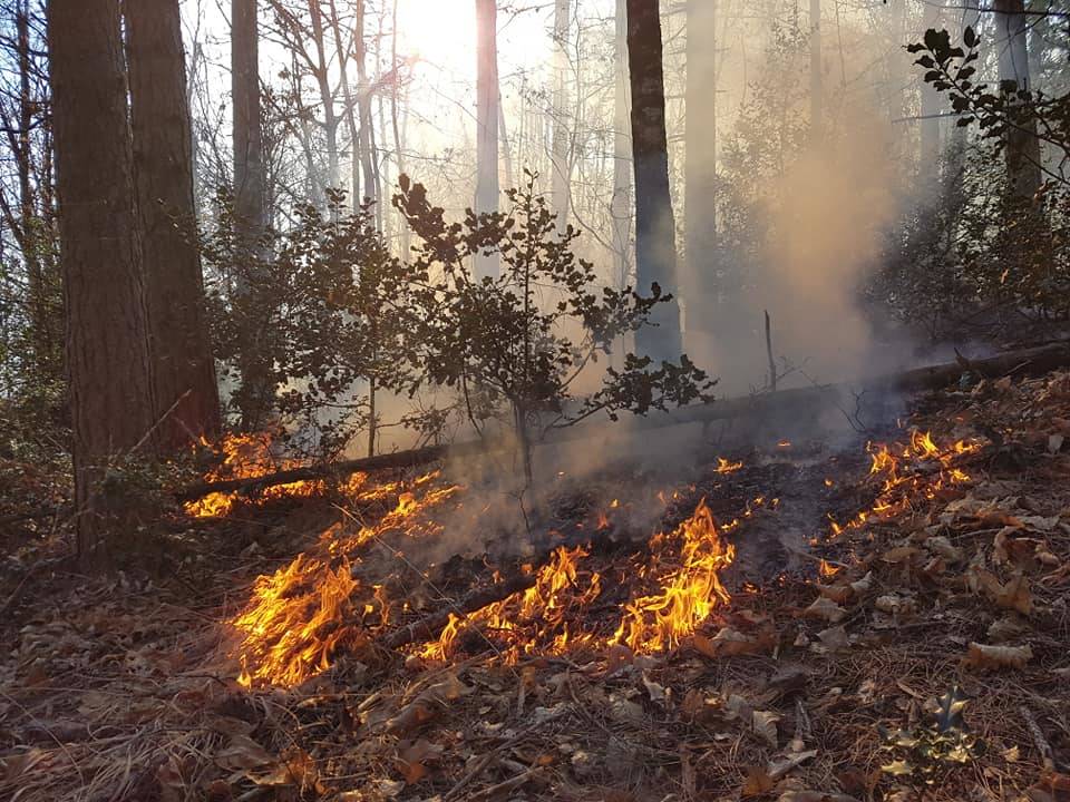 volontari antincendio boschivo brezzo di bedere